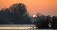 zonsondergang IJsselvallei van Lex Scholten thumbnail