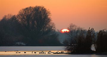 zonsondergang IJsselvallei van Lex Scholten