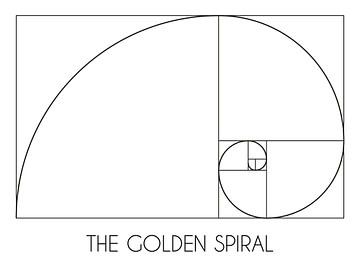 Goldene Spirale