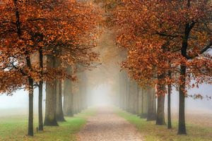 Der Weg ins Unbekannte