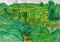 Türkische Landschaft mit Olivenbäumen