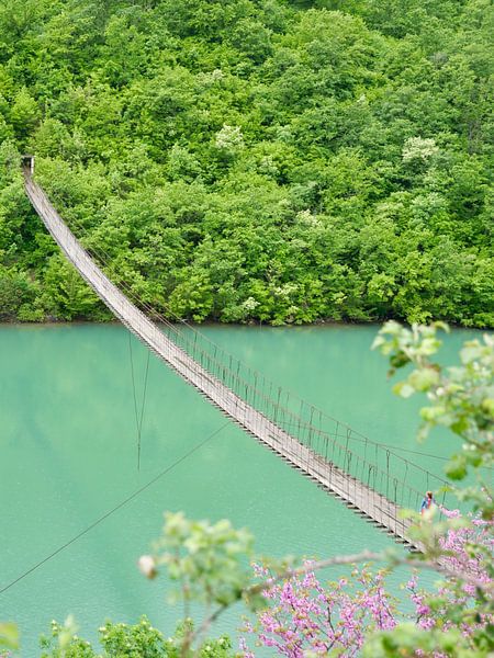 Suspension bridge over the river by Judith van Wijk