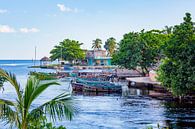 Fishing boats in Playa Largo in Cuba von Michiel Ton Miniaturansicht