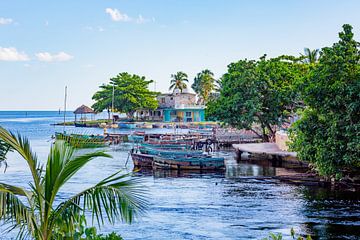 Vissersboten in Playa Largo in Cuba van Michiel Ton