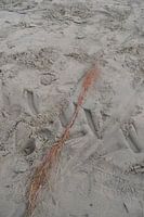 Sporen 3