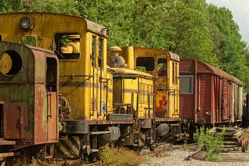 Old Train  by Robert Van den Bragt