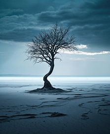 Aesthetic minimalism