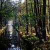 Spreewald sur Thomas Jäger