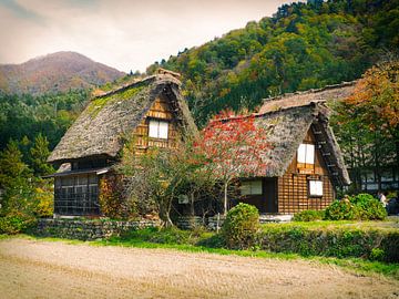 traditioneel japans huisje van Jasper H