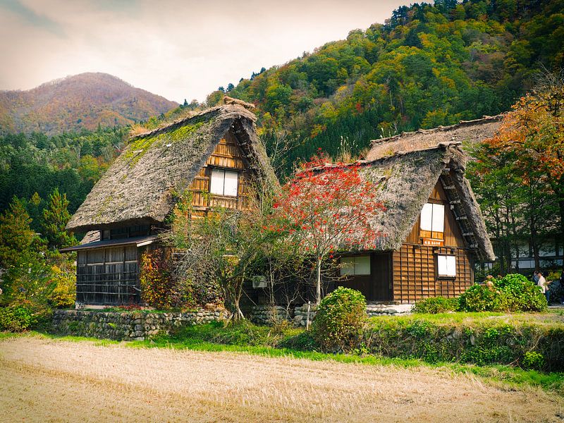 Traditional Japanese House by Jasper H