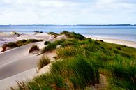 Achter de Duinen van ZEVNOV . thumbnail