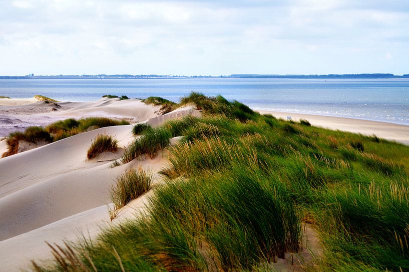 Achter de Duinen van ZEVNOV .
