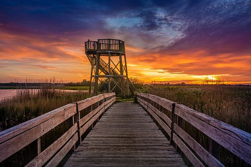 Tour de guet près de Kolham