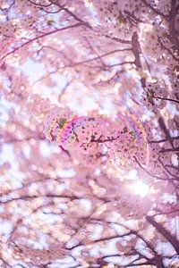 Fleur avec arc-en-ciel
