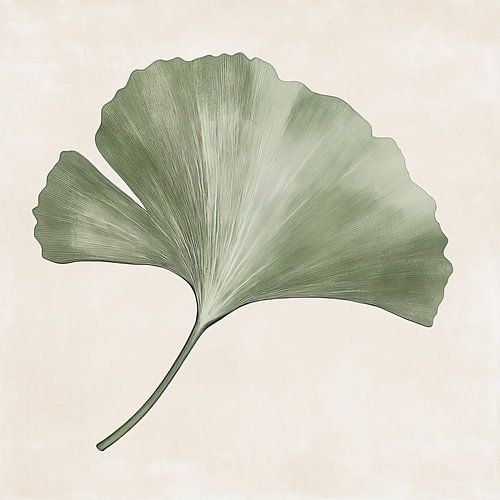 Feuille de ginkgo botanique vintage