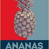 Ananas Pop-Art von Western Exposure