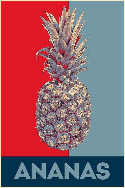 Ananas Pop Art van Western Exposure