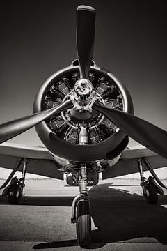 propeller von Frank Peters