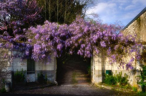 Blue Rain garland in france