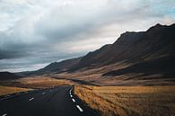Uitgestrekte weg in Noord IJsland von Lenneke van Hassel Miniaturansicht