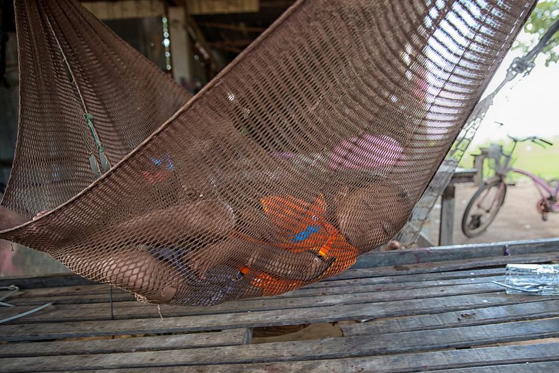 ANGKOR WAT, CAMBODIA, DECEMBER 6 2015 - Jongetje in hangmat op veranda van zijn huis vlakbij Angkor  van Wout Kok