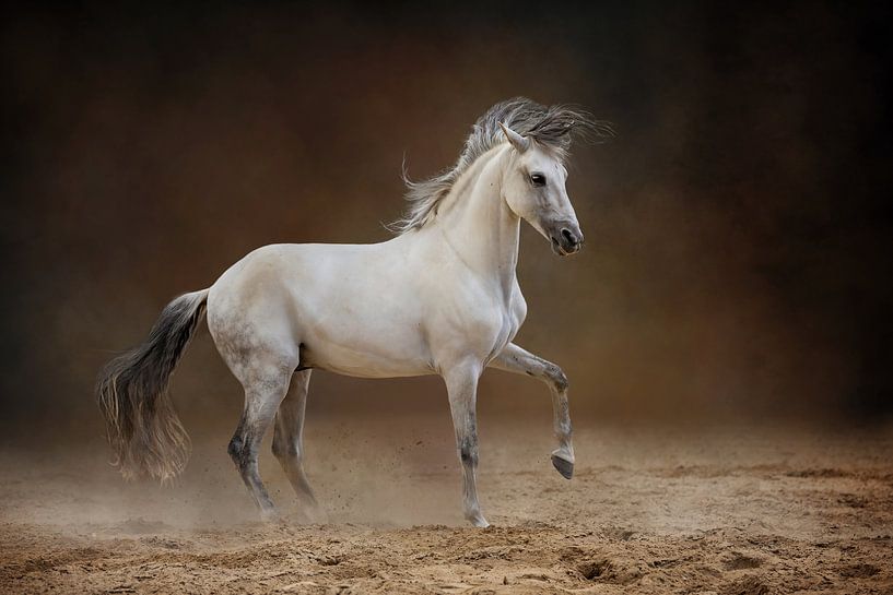 Spanish beauty by gea strucks