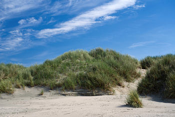 Sommer auf Baltrum