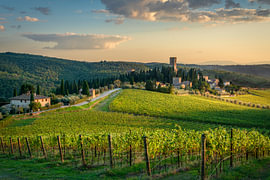 L'abbaye de Badia a Passignano et les vignobles du Chianti au coucher du soleil sur Stefano Orazzini