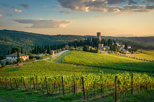 Die Abtei Badia a Passignano und die Chianti-Weinberge bei Sonnenuntergang