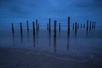 Eel village near Petten sea landscape