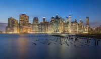New York Sky line Night