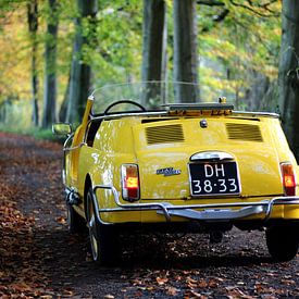 Fiat 500 cabrio jolly. Classic / oldtimer / yountimer by Maarten van Hemel