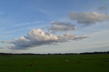 Hollandse Wolkenlucht sur Mr and Mrs Quirynen