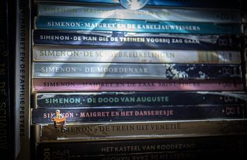 de Boekenwurm ... van Andrea Pijl - Pictures