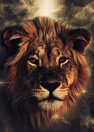 Lion 2