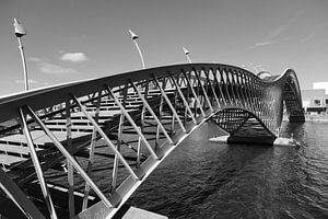 Pont Python, Amsterdam