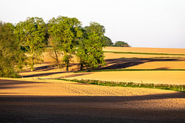 Golvend land in avondzon van Werner Lerooy
