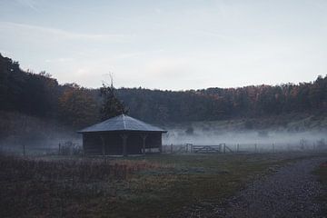 La maison du forestier dans le brouillard sur Floor Schreurs