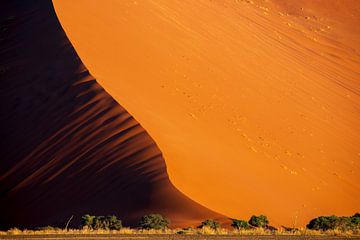 Dune 45 van Antwan Janssen
