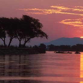 Afrika, Sonnenuntergang von Paul van Gaalen, natuurfotograaf