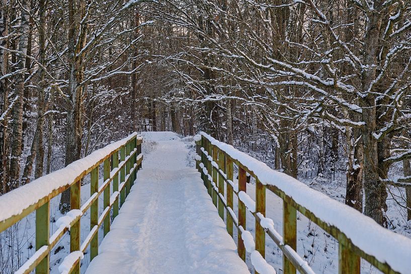 Winter Sweden 02 by Geertjan Plooijer