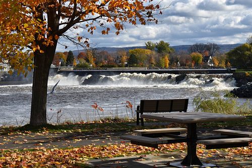 Falls Park in de herfst
