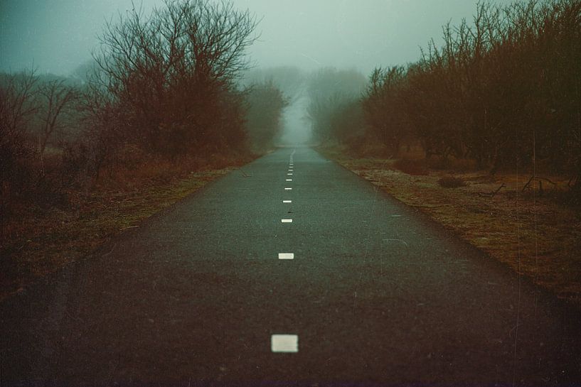 Mistige weg in de duinen van Noordwijk van Yanuschka | Fotografie Noordwijk