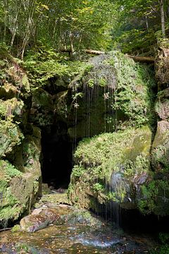 der Wasserfall Amselfall im Amselgrund bei Rathen