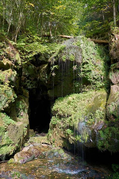 der Wasserfall Amselfall im Amselgrund bei Rathen von Heiko Kueverling