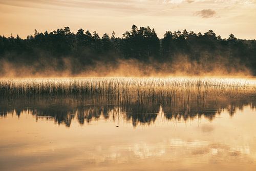 Mist in het water bij zonsopgang op een Zweeds meer