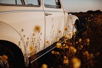 VW Kever 1964