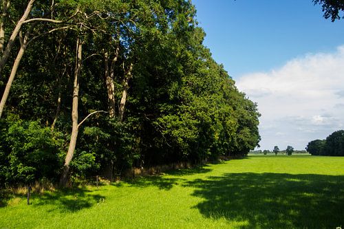 Typisch coulisselandschap in Zelhem in de Achterhoek