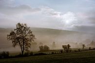 Morning mist by Olivier Chattlain thumbnail