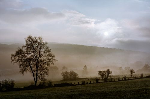 Morning mist by Olivier Chattlain